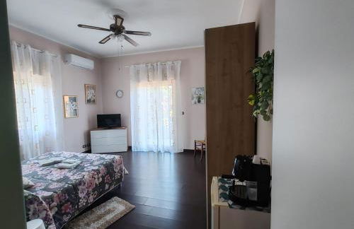 Il tulipano - Foto 9