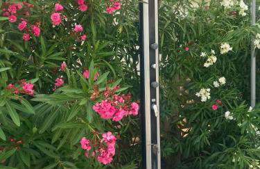Villa Denia Costa Blanca - Foto 29
