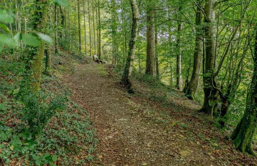 1 Bed in Capel Dewi 85671 - Foto 11