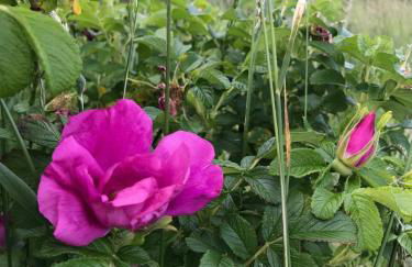 Hein Muck Modern Retreat - Foto 83