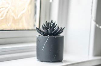 Richard Gardens - Photo 6