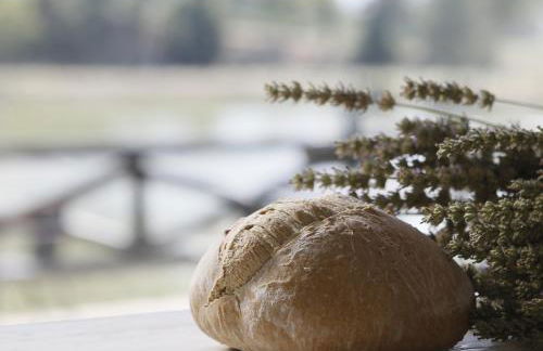 Tenuta Santi Giacomo e Filippo - Foto 160