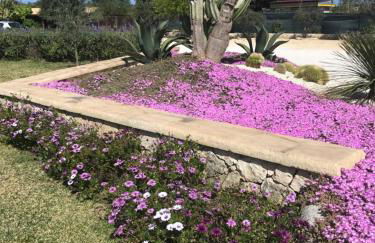 Mythos Holidays & Events - Photo 74