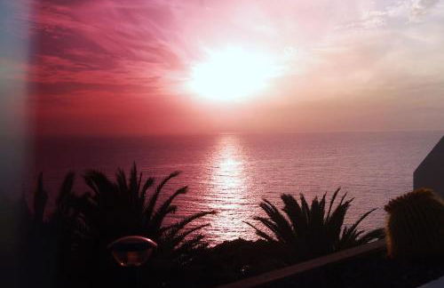 marazul del sur - Foto 21