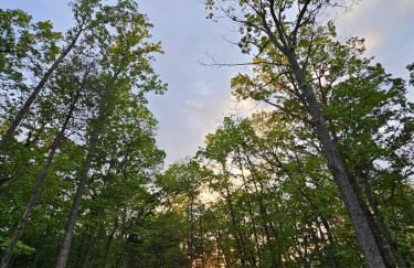 Serenity Cabin - Cozy Mountain retreat - Photo 46