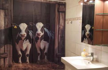 Mooroase Bauerngarten - Ovelgönne - Nordsee - Weser - Jade - Foto 43