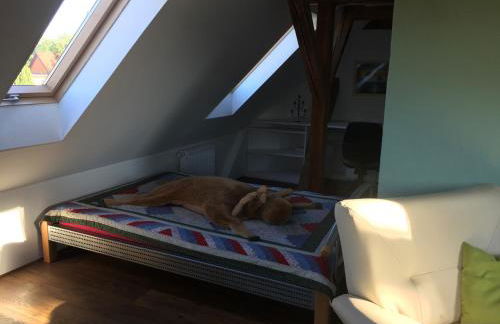 Ferienwohnung Schulze - Photo 28