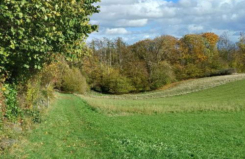 Waldzauber 2 Budget-Apartment - Foto 18