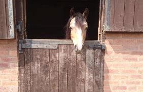 Church Farm Accommodation - Foto 28