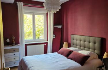 Cosy Appartement Complet centre-ville Montbéliard - Foto 1