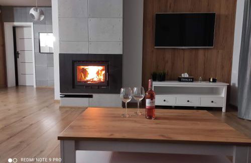 Agroturystyka U Sadzy - Foto 23