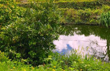 Tovey Lodge - Foto 32