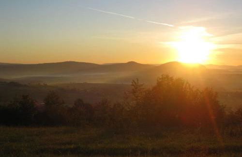 Holiday home Bauernhauschen in the Rhon - Foto 12