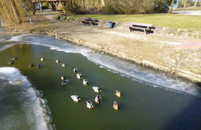 Holiday Apartment Gerdes - Foto 8