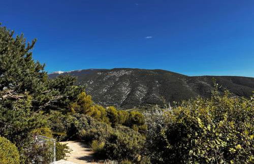 Bastidon La Garrigue - Foto 35