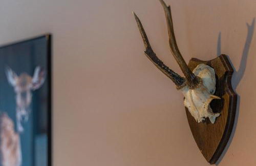 VYLD: Bad Hindelang inmitten der Berge - Foto 43