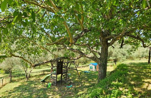 Podere le Muricce - Foto 28