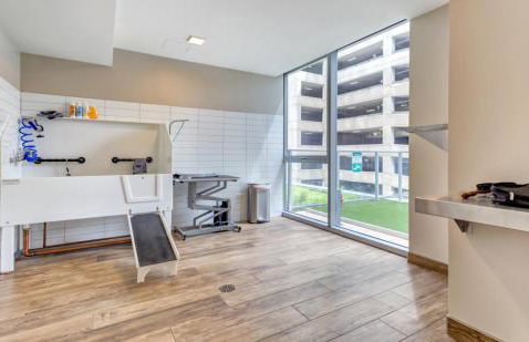 River N 1BR w Gym WD nr Mag Mile by Bluegound CHI-127 - Photo 29