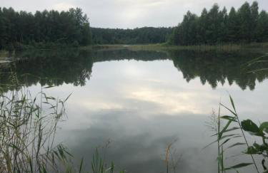 Wilaneska Prośno - Foto 49