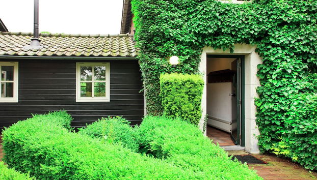 Cozy Group House in Reusel in a Natural Environment - Foto 3, Recepción