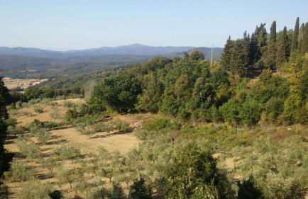 La Casa dei Sogni - Foto 31