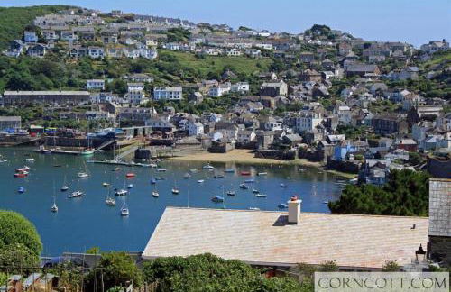 The Moorings just across from Fowey - Foto 14