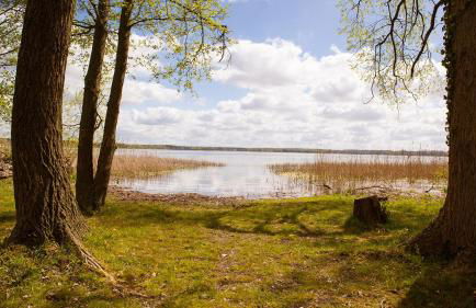 Ferienhaus Friedrichsmilde - Foto 19