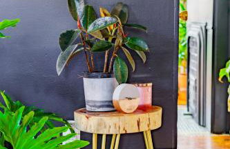 Jungle House Luxury Homes - Columbus Downtown Short North - Steps to Convention Center & Nationwide Arena - Sleeps up to 11 - Free Parking - Over 5,800 Five Stars - Foto 122