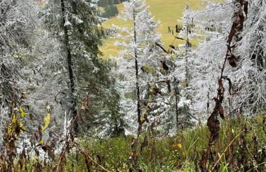 Ferienwohnung Passhöhe - Familien- Wander- und Skiurlaub - Hochschwarzwaldcard - Haus Wiesenquelle - Photo 37