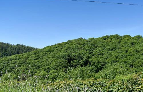 The Old Chapel - Foto 20