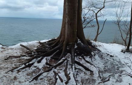 Ferienwohnung Schernau - Foto 10