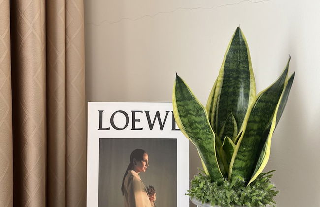 Mian Homestay - Foto 51