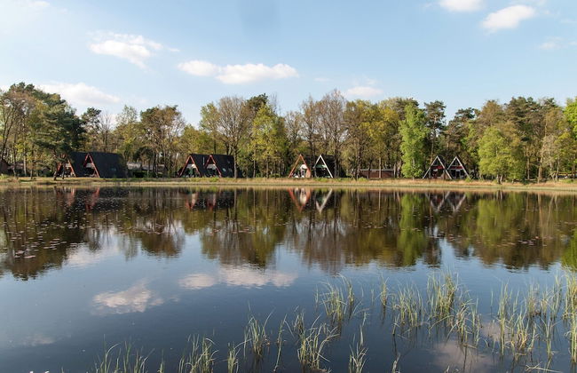 Pet-friendly Getaway - Photo 19