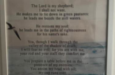 Psalm 23 - Foto 17