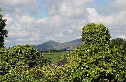 Maes Y Coed - Photo 24