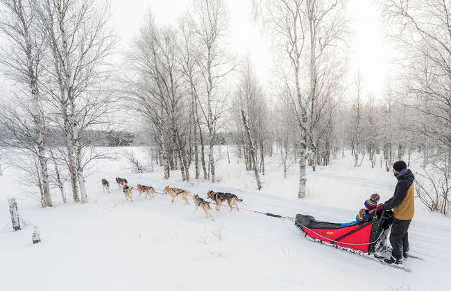 The Elegant Haistila - Foto 60