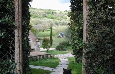 Agriturismo Casa Fibbianello - Foto 11