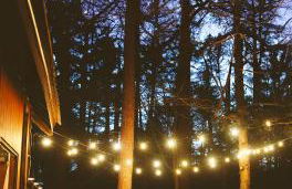ADK Forest Cabin near Lake Placid with Hot Tub and Ice Bath - Foto 1