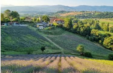 La lavanda di Poppi-mini appartamento - Foto 50