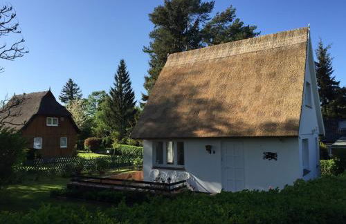 Ferienhaus Boddenblick - Foto 13