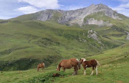 Ossau T2 5 personnes 1 chambre draps serviettes inclus parking moustiquaires tout confort près du ski - Foto 24