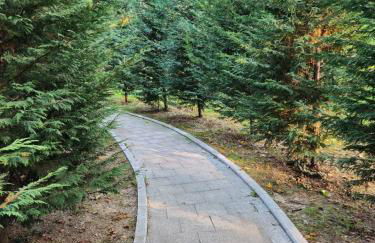 CRBN Di SJK28 - Foto 2