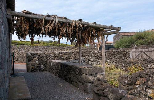 Adega Maciel - Foto 17