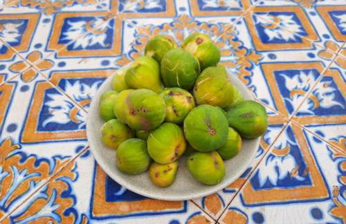 Quintinha das Lombas - Foto 42