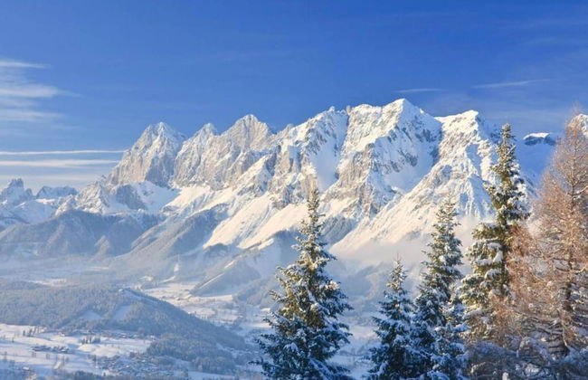 Comfortable Holiday Home in Kleinarl - Foto 36