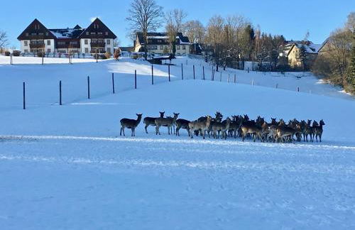 Ferienappartements Rausch - Foto 39