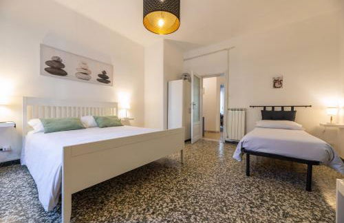 Windrose The Cat - Foto 26