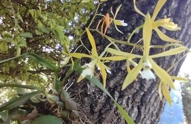 Pousada Rota das Águas - Foto 29