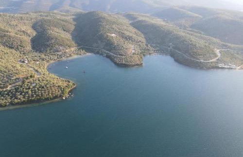 '' I FOLIA '' / ' 'LE NID '' - Foto 42