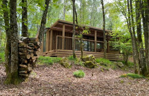 Vosges Hygge - Chalets Lodges & Spa - Foto 17